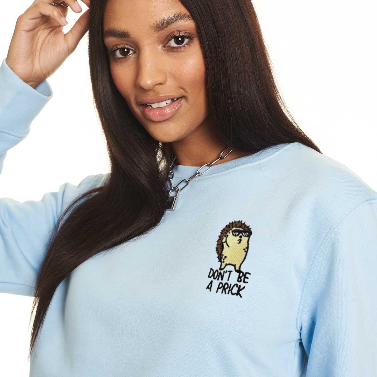 Don't Be A Prick Hedgehog Embroidered Sweatshirt (Unisex)